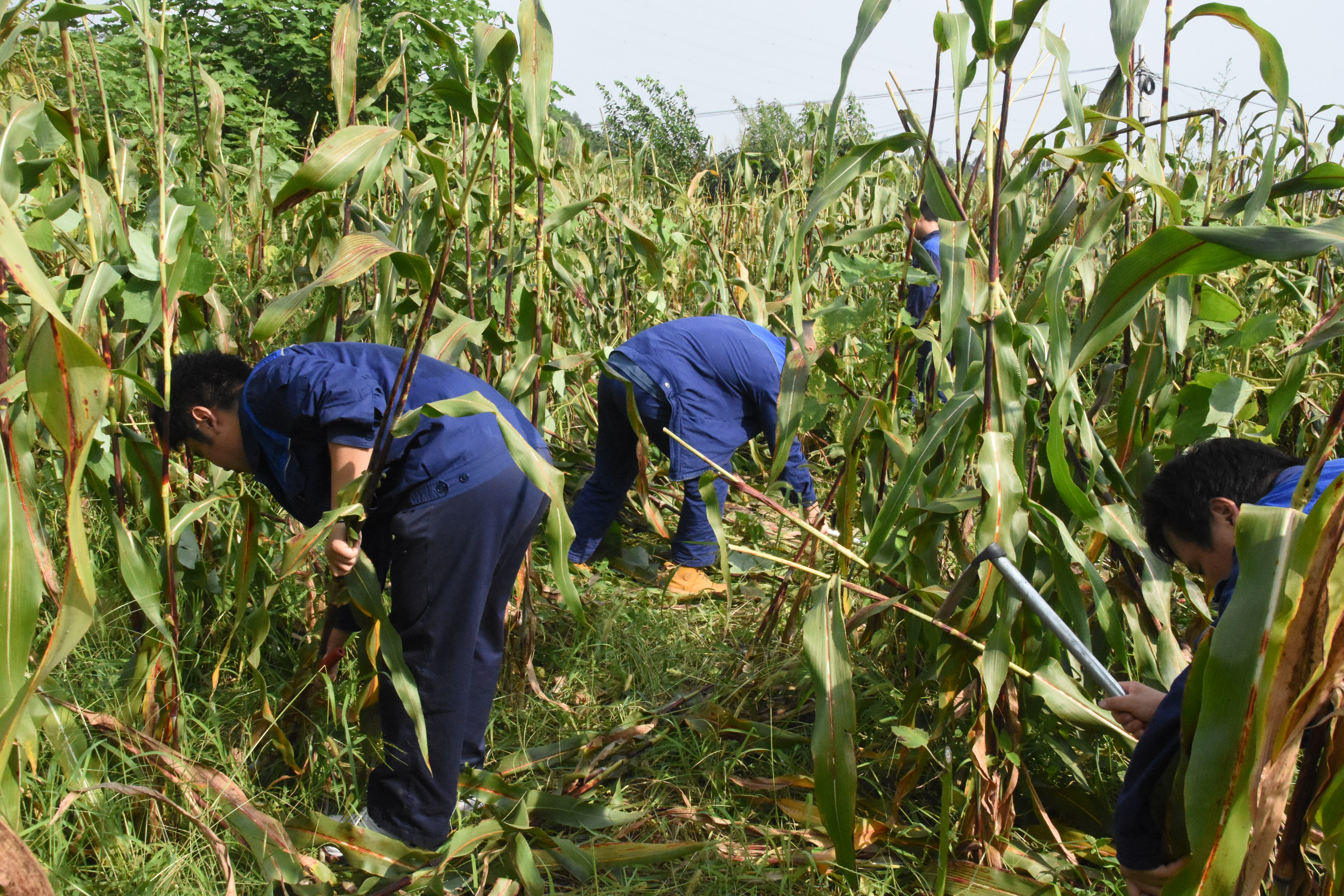 DSC_8638.JPG DSC_8638.JPG